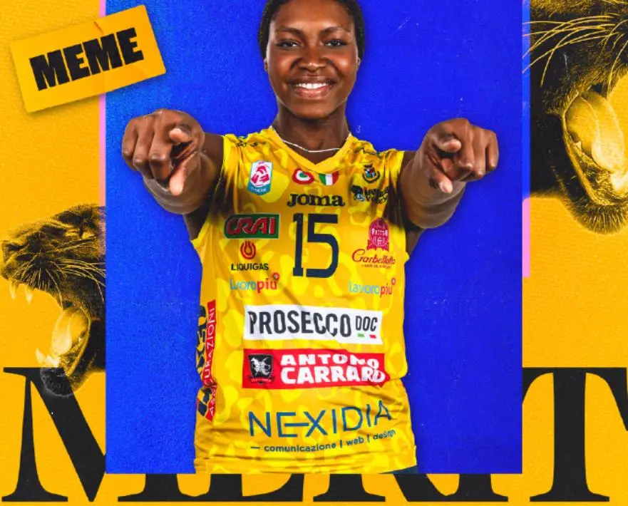 次赛事冠军, img