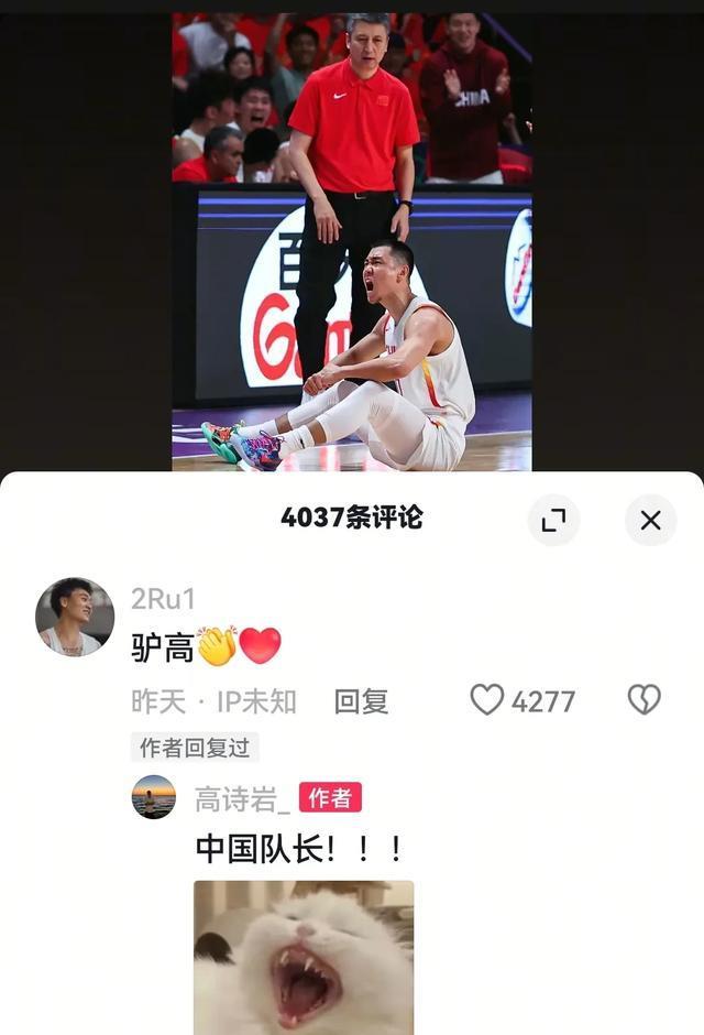 评价, img, 表达了高诗