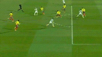 廷队将会和, 阿根廷队也